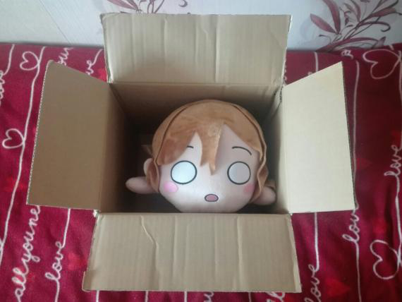My adventure with Love Live started in 2014 when my friend has started bought merch from this...
