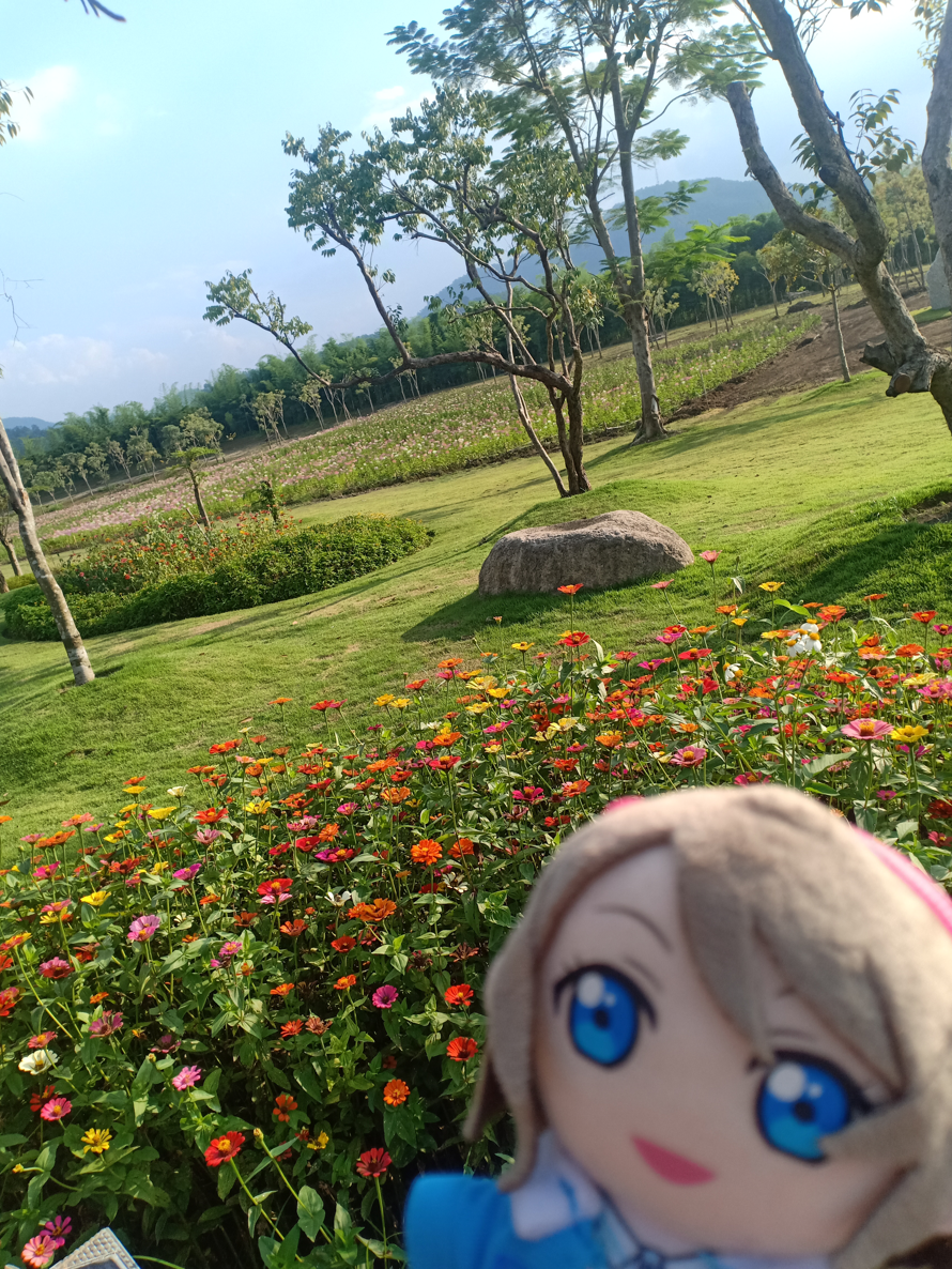 Thank you for like the last post 😭✨ I came to the park with You chan on 10/11/19 It's very beautiful...