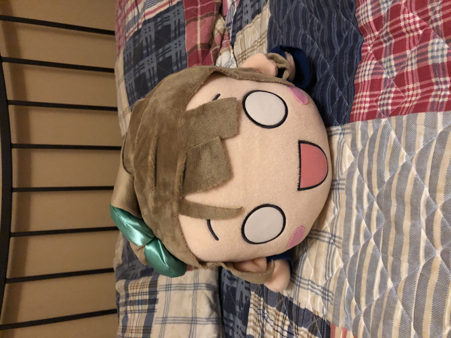 My Kotori Plushie!