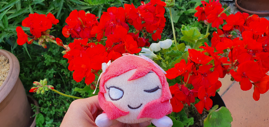 Happy ~late~ birthday Maki ! Once again it's a picture from last year, these flowers fit her so well...