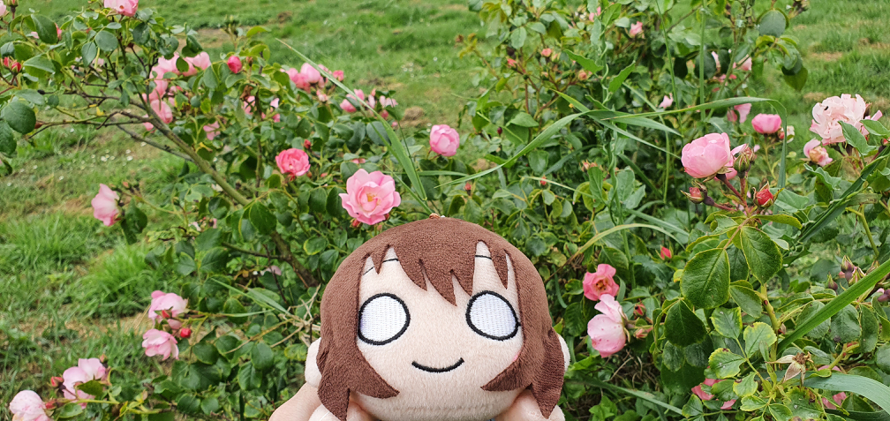 Happy birthday Shizuku ! Here is a pretty picture I took last year 🌸