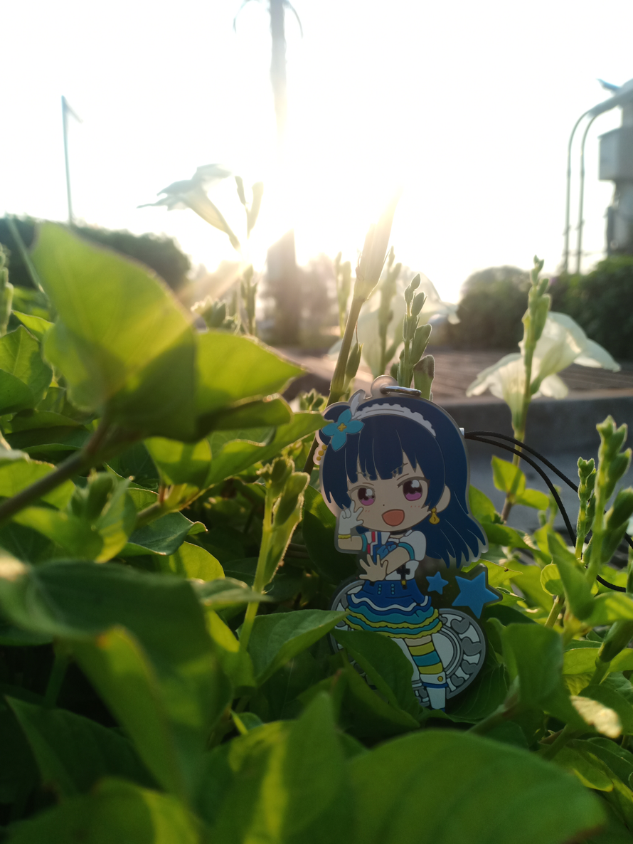 I don't have time to post my pictures in here OK! It's first time to post for my picture, Yohane in...