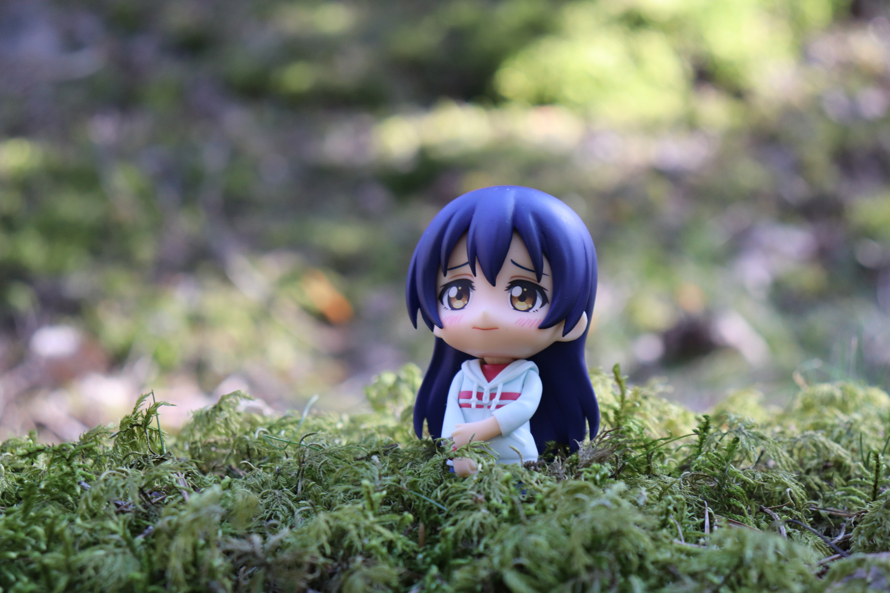 Umi at forest  nothing else~
