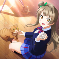 UR Minami Kotori 「Off It Goes! Whoop! / Year of the Tiger Unit, Assemble!」