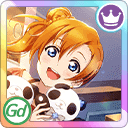 UR Kosaka Honoka 「Battle in the Big Zoo! / Fashionable Romance」 - Normal