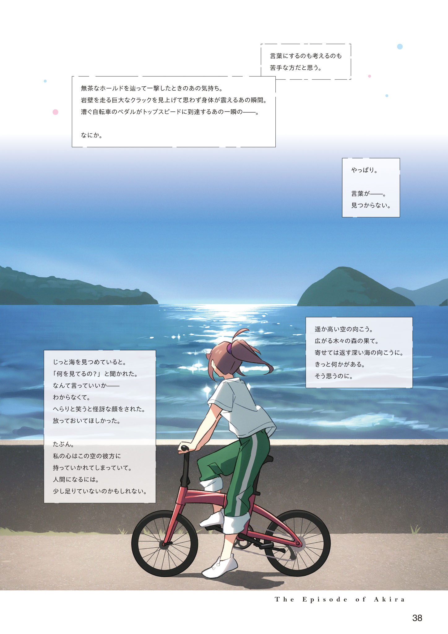 Chapter 3 - The Episode of Akira (3)