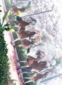 UR Sachi Ogami Trickster