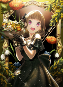 BR Kosuzu Kachimachi Trickster