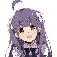 #16905